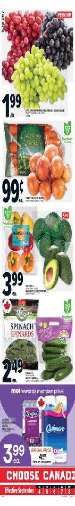 Catalogue 